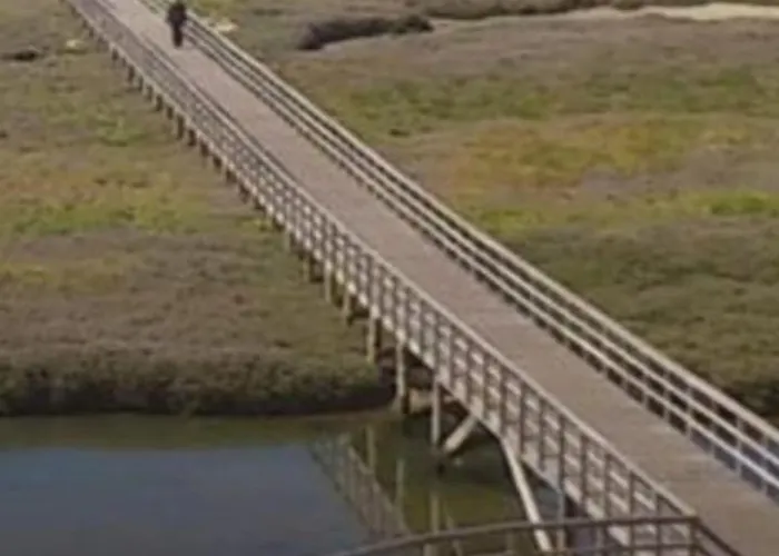 公寓 Aptos Solaina